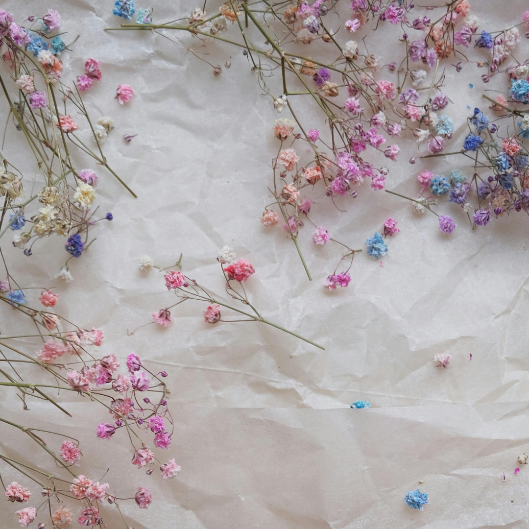 Sustainable Florals: Baby’s Breath, the Eco-Friendly Trend