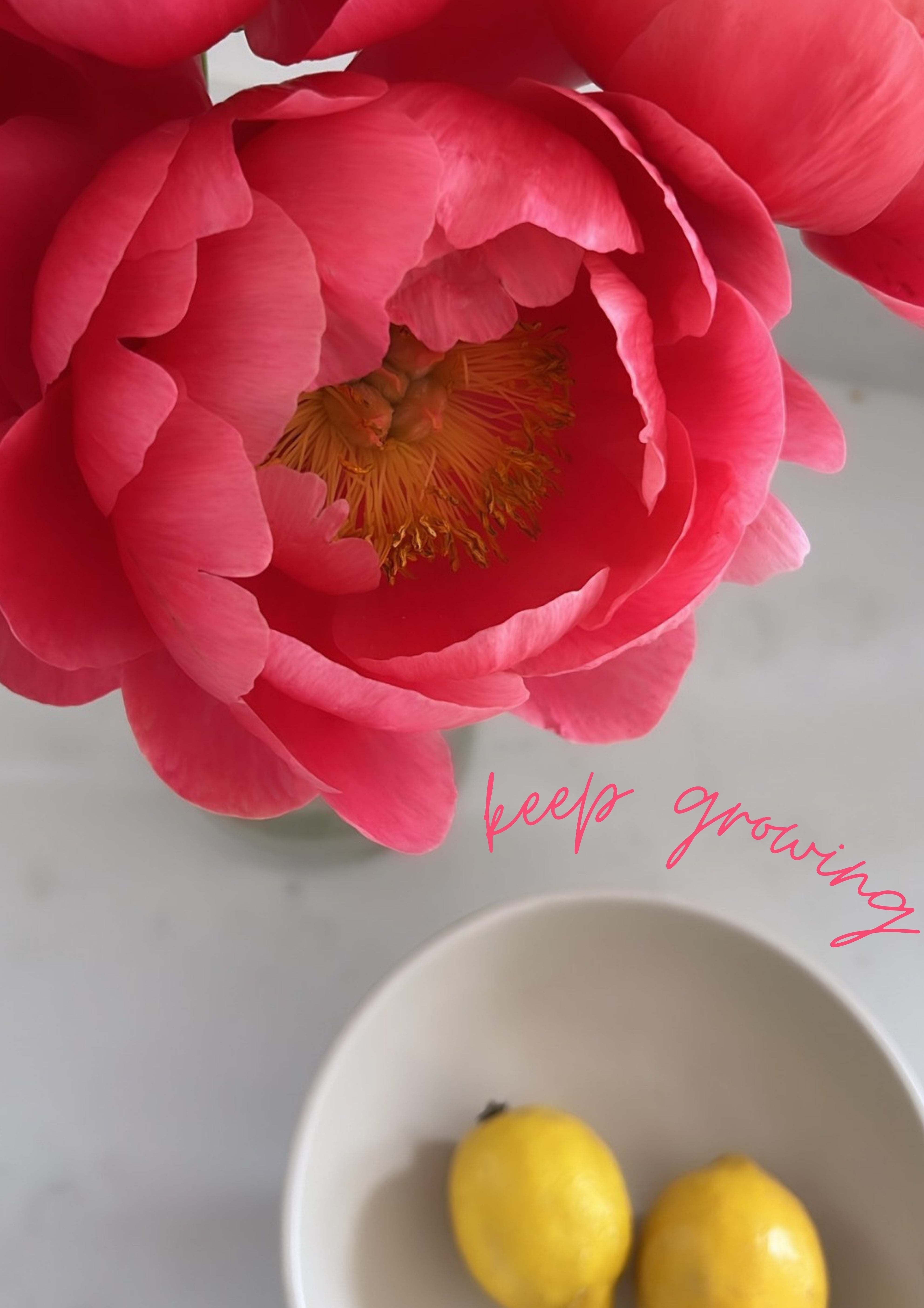 What are April Flowers