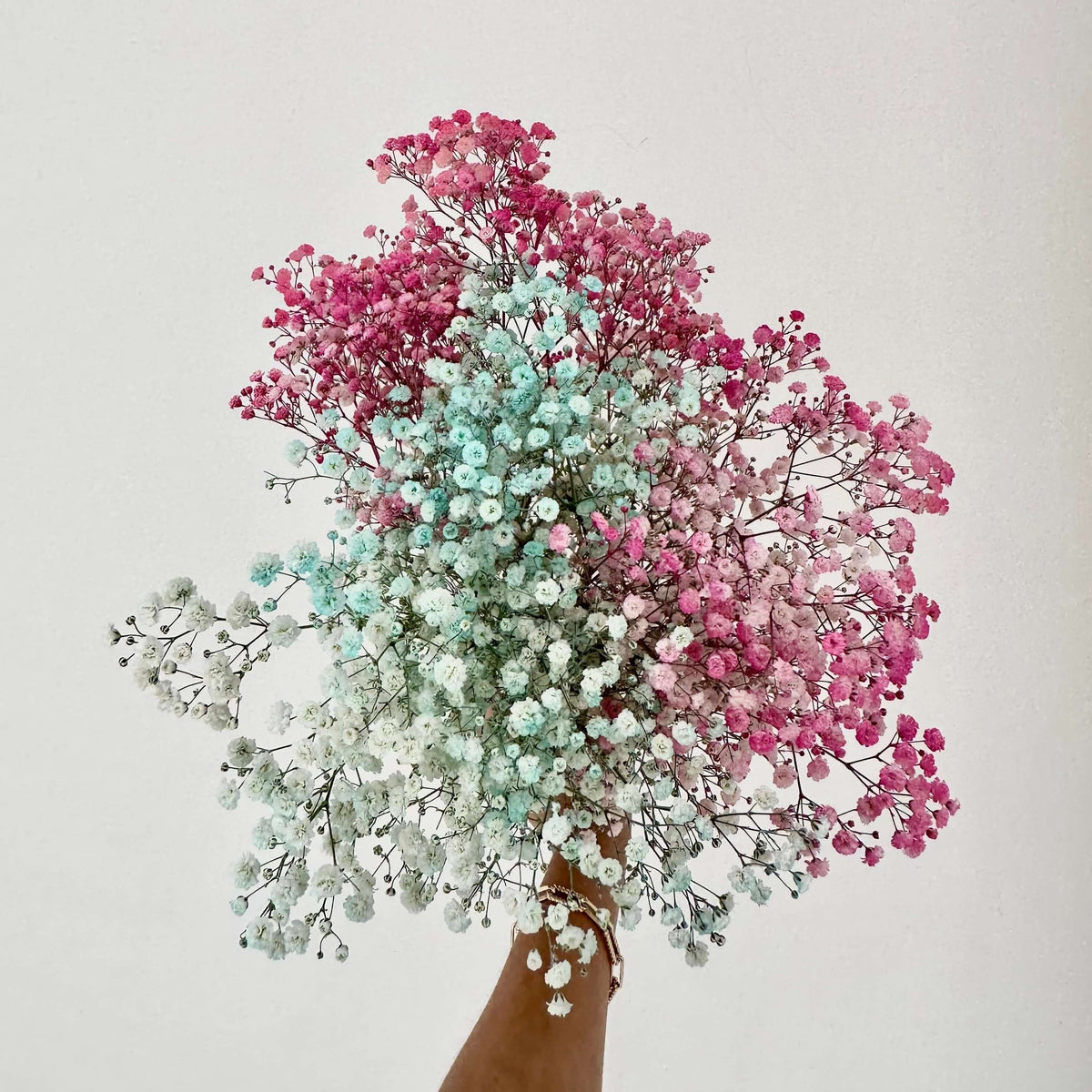 Baby's Breath - FLOWERFIX