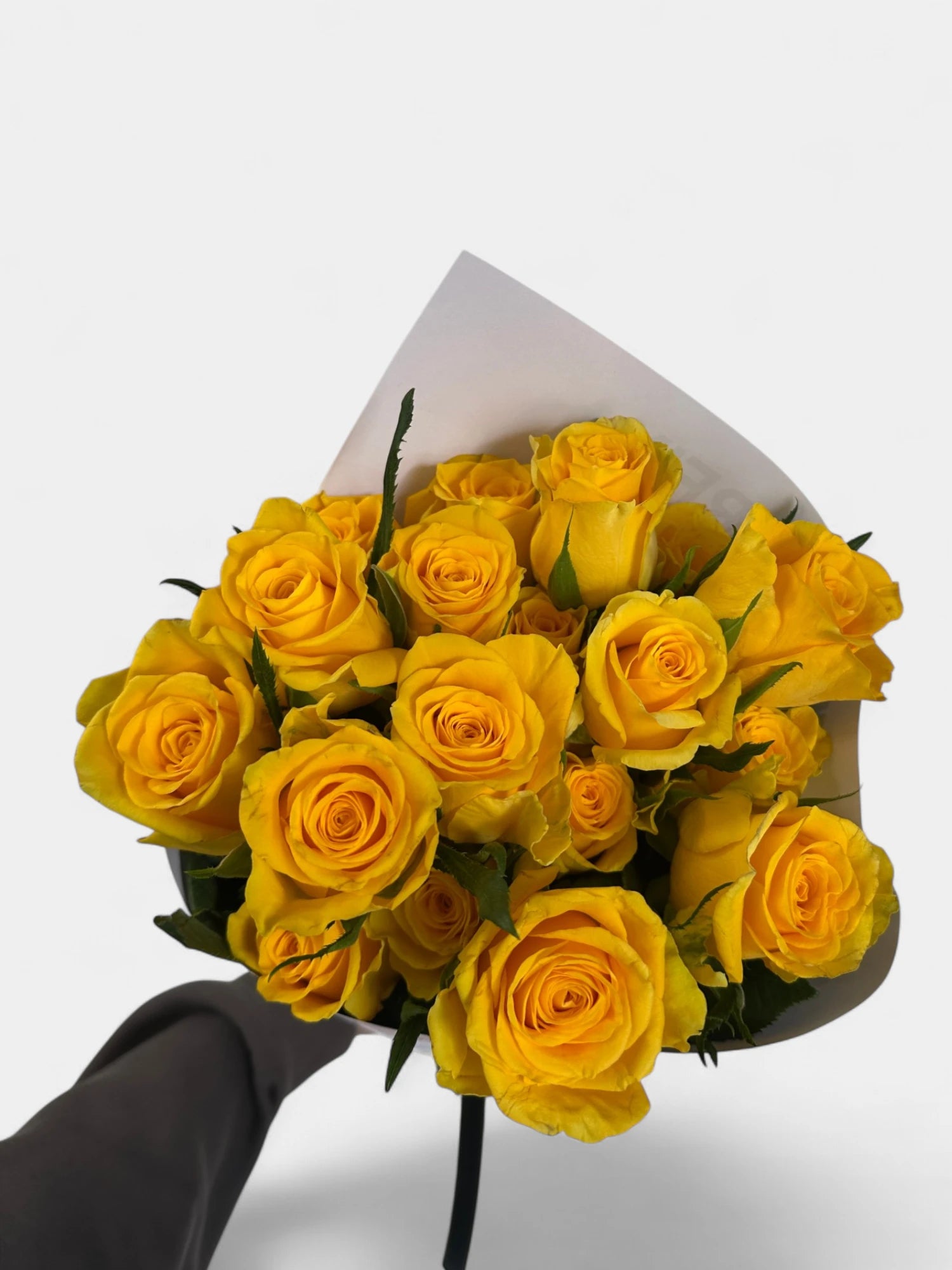 Bouquet of yellow roses wrapped in paper held by a hand on a white background