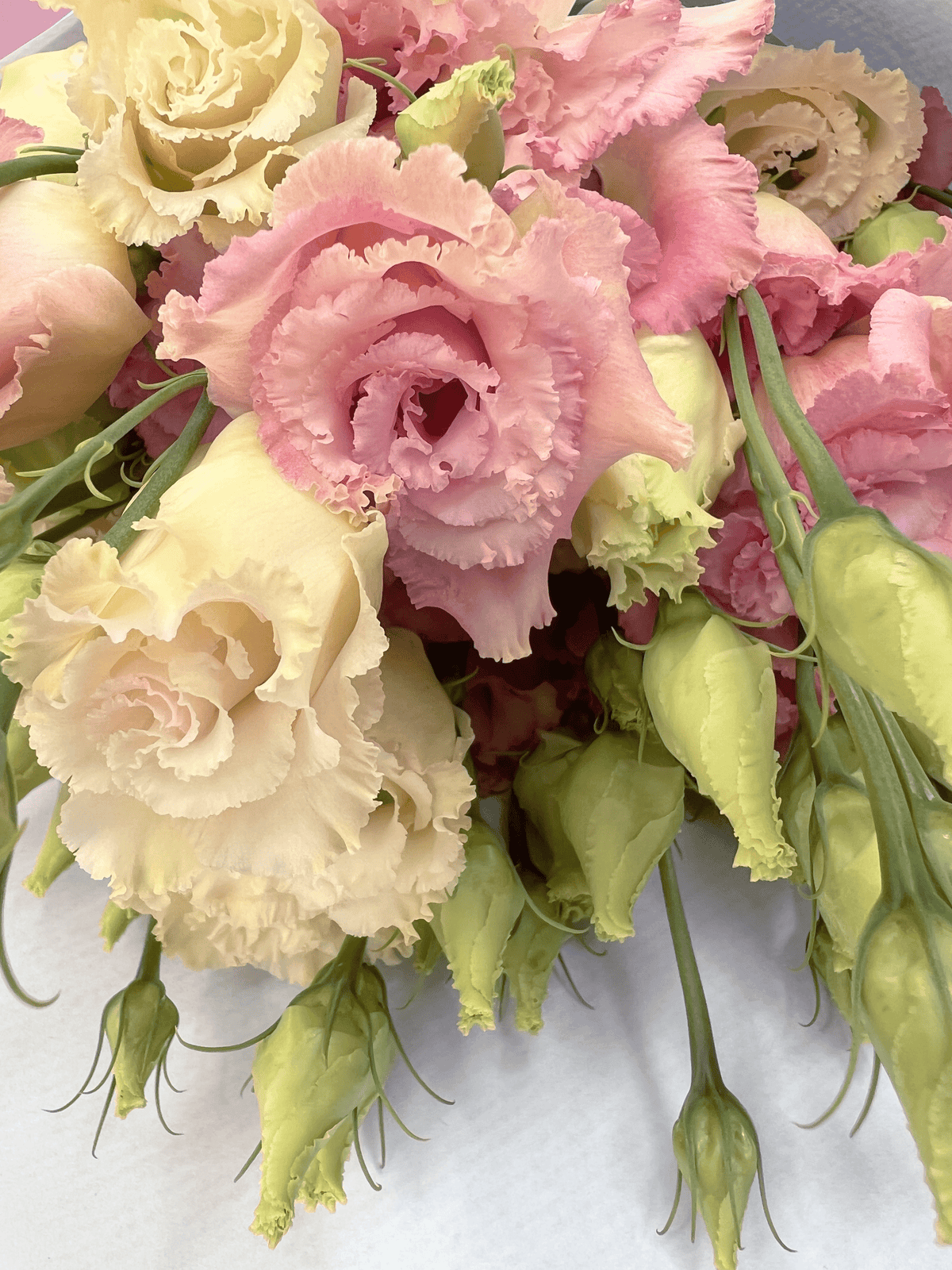 Apricot Lisianthus Delivered - FLOWERFIX