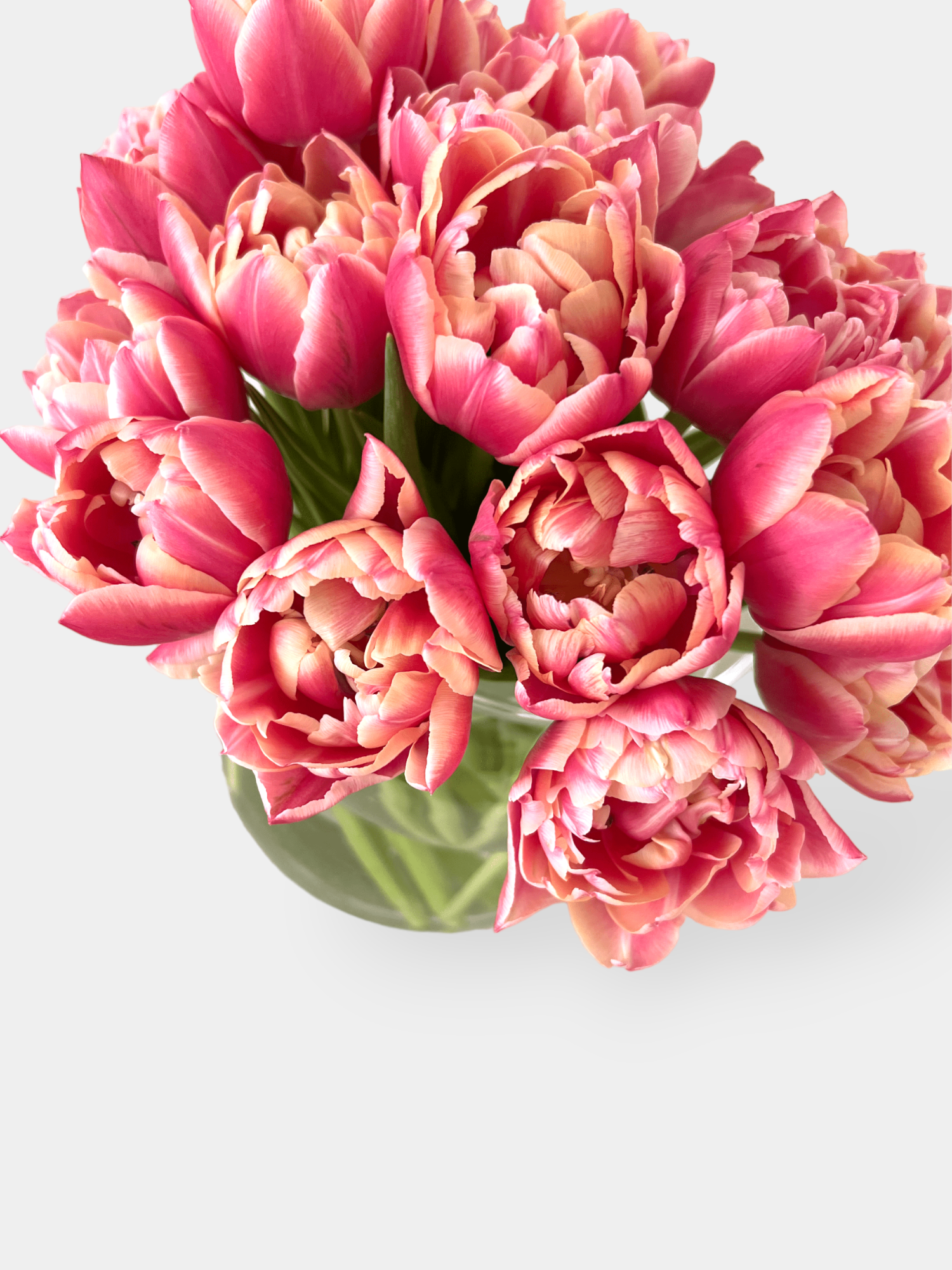 Delicious Tulips - FLOWERFIX