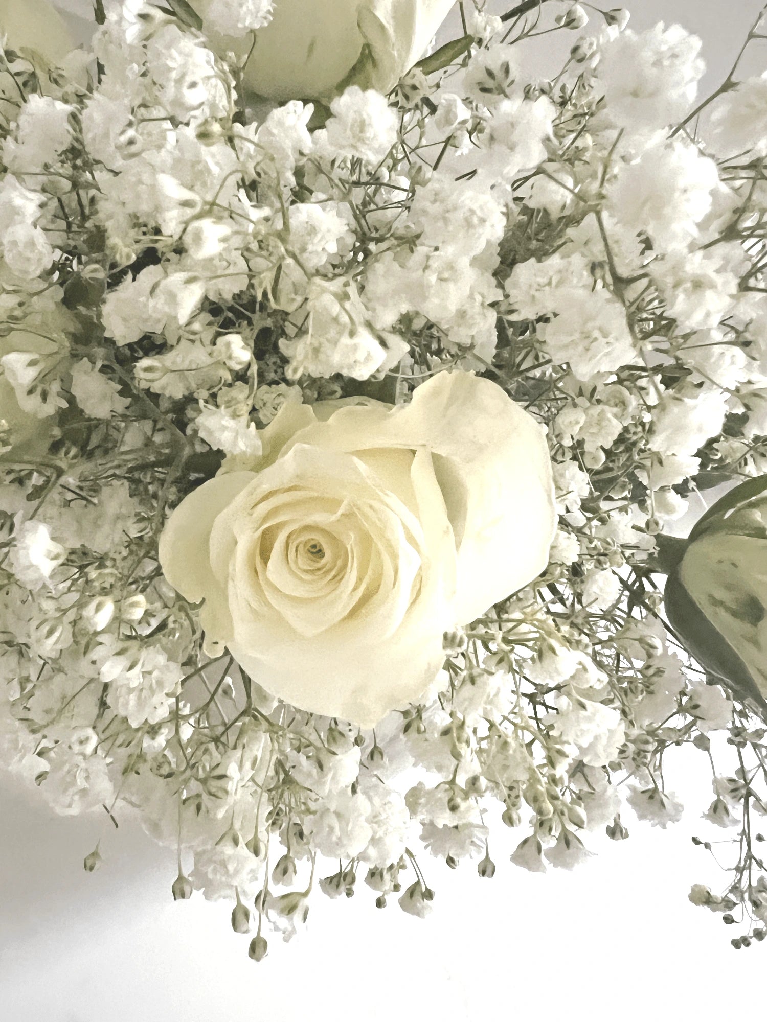 Close up of white roses and baby's breath flowers. Snow Fairy Bunch | FLOWERFIX