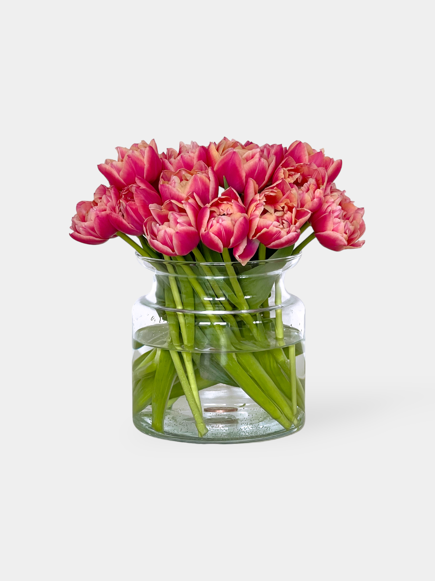 Delicious Tulips - FLOWERFIX