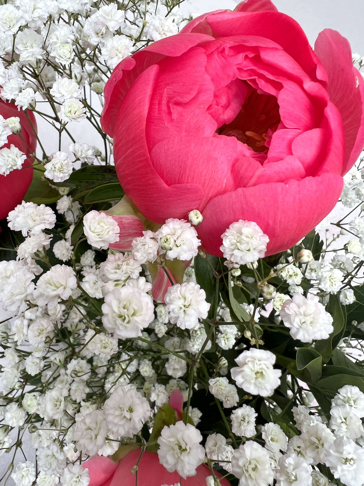 Colour Changing Peonies - FLOWERFIX