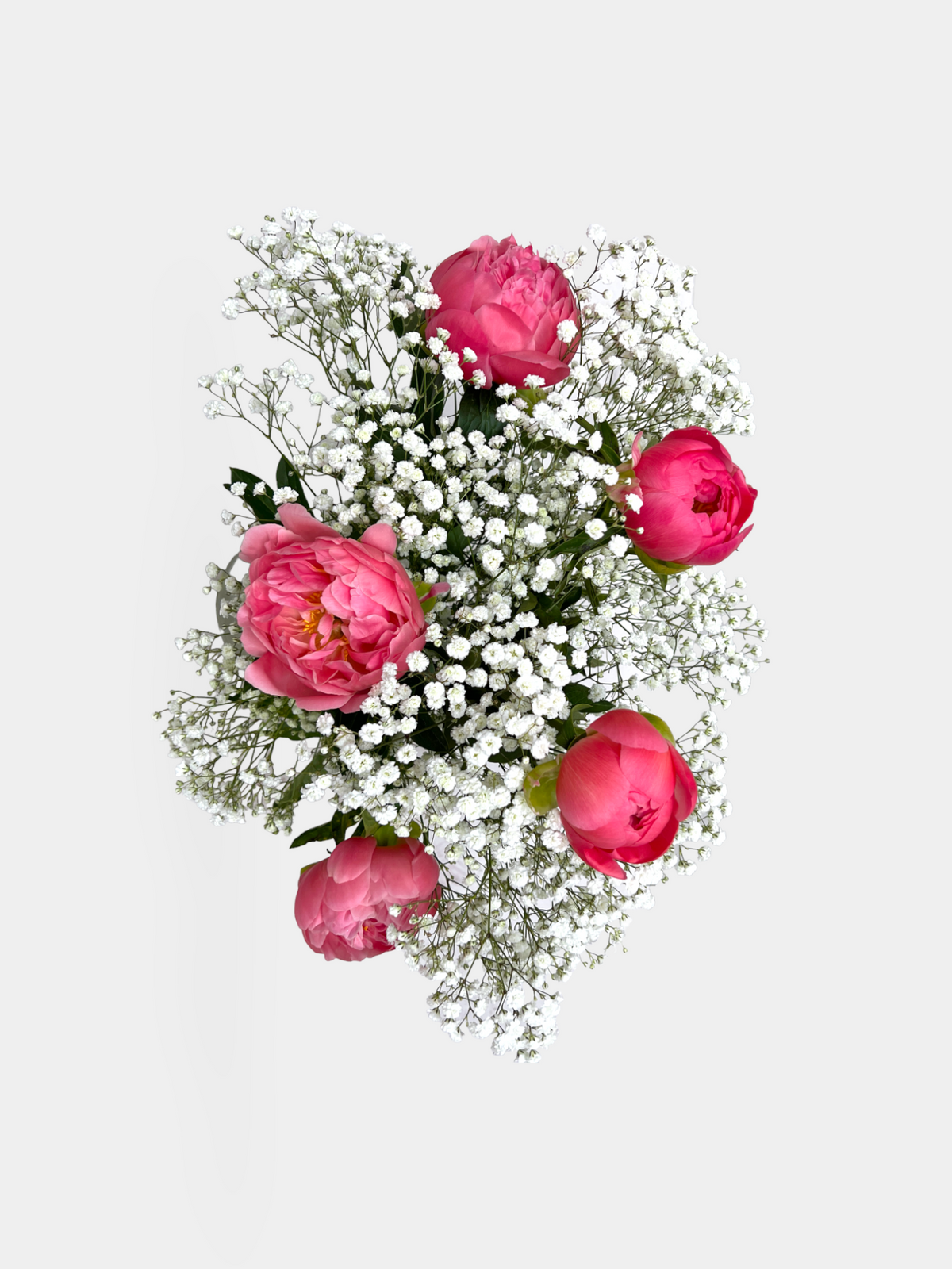 A Peony Cloud - FLOWERFIX