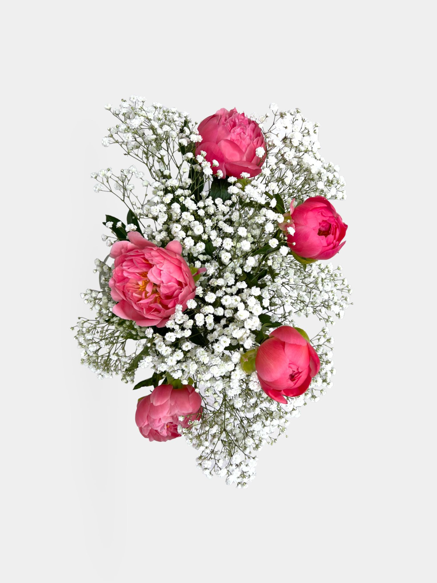 A Peony Cloud - FLOWERFIX