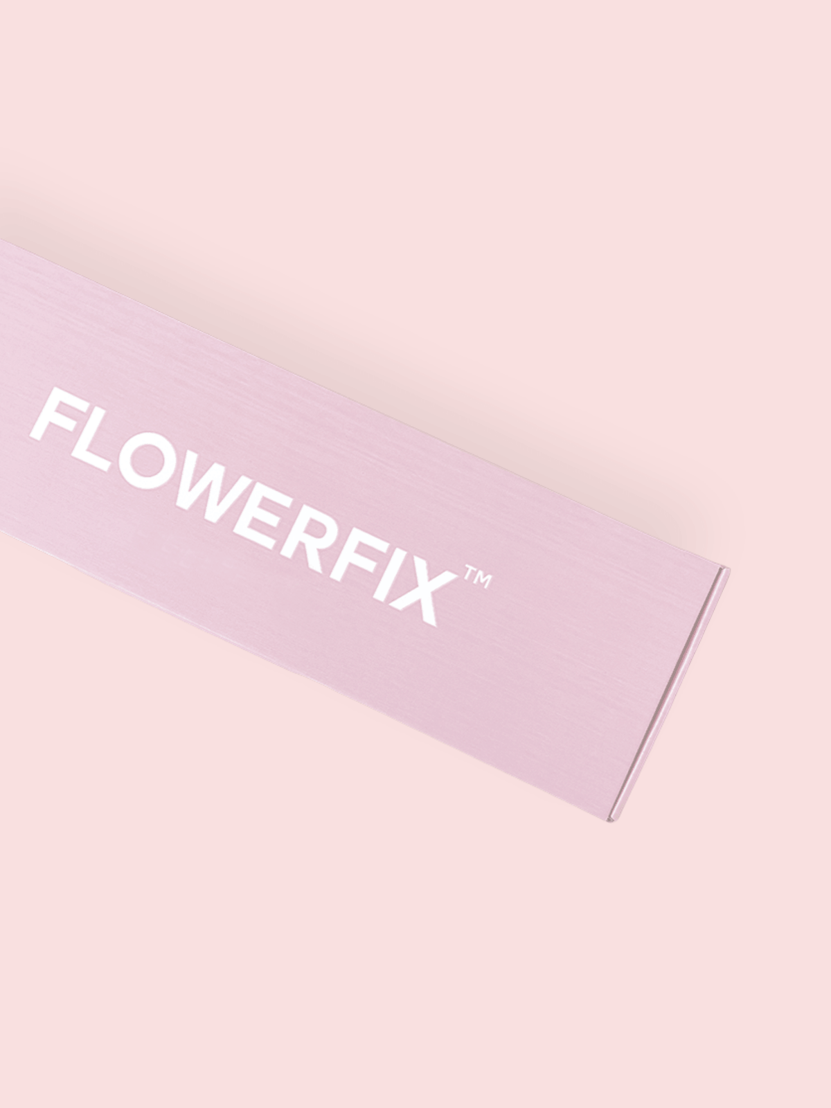 Baby's Breath - FLOWERFIX