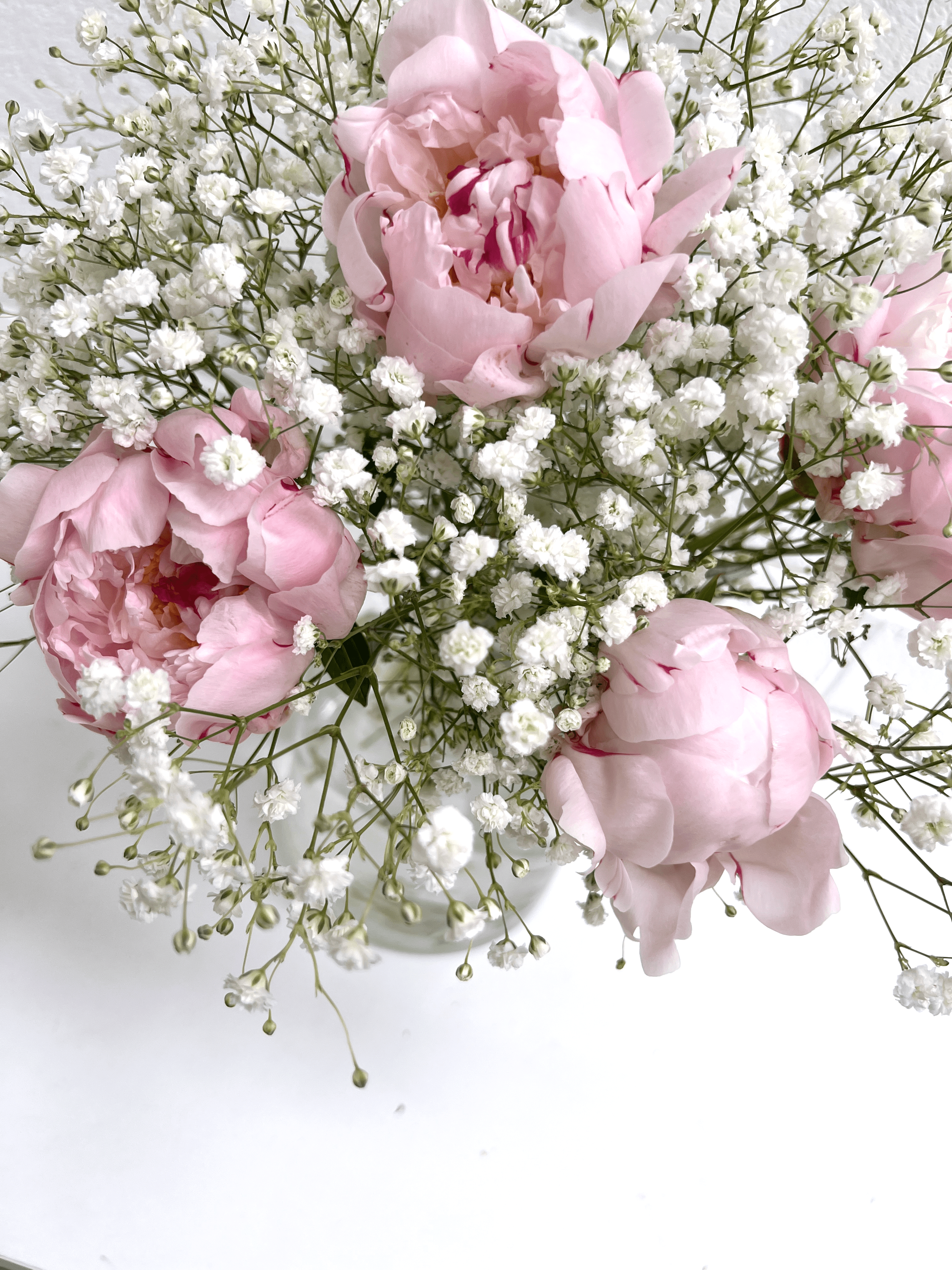 Peony and Gypsophila Flowers - FLOWERFIX