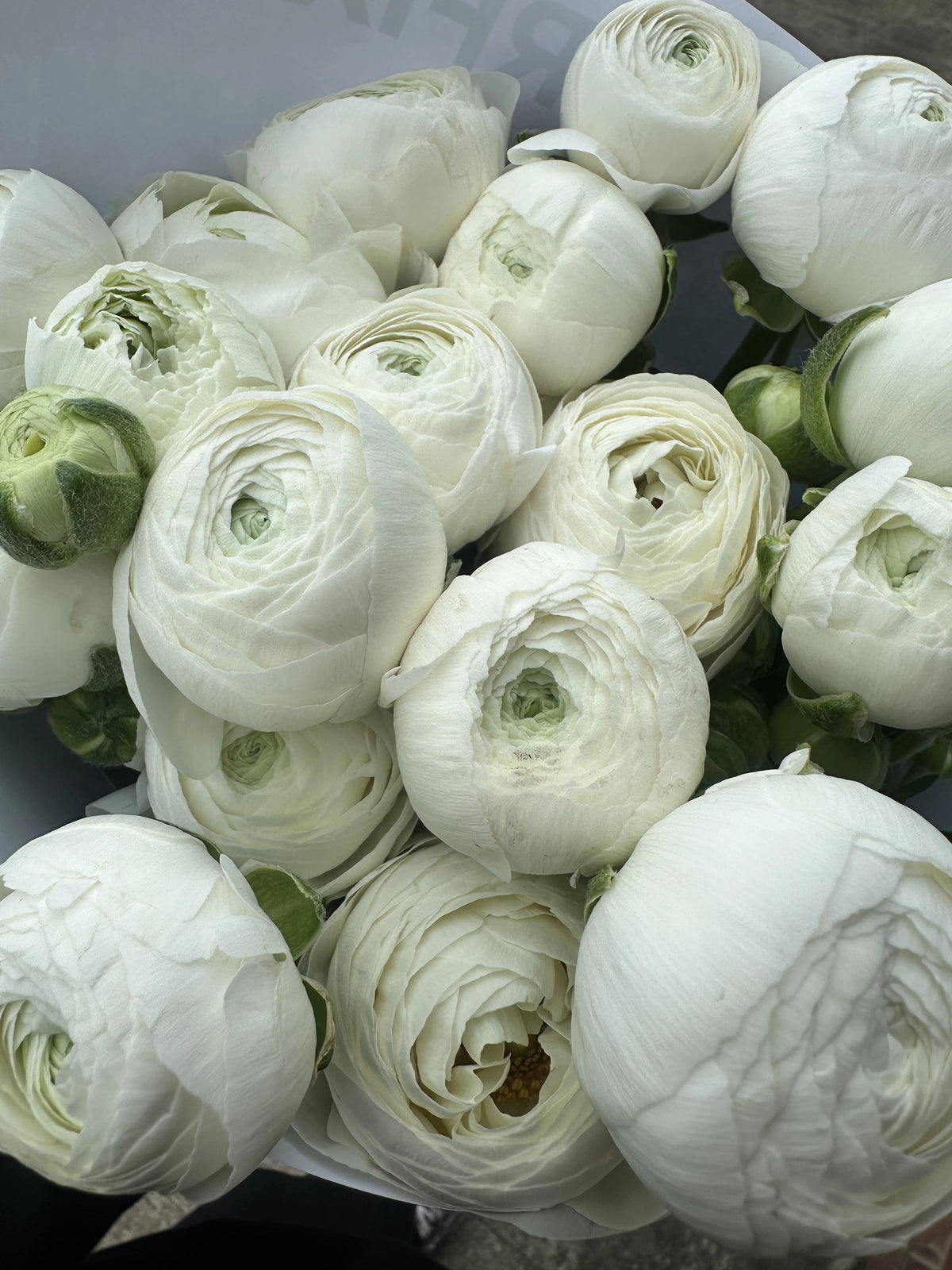 Flower Diary