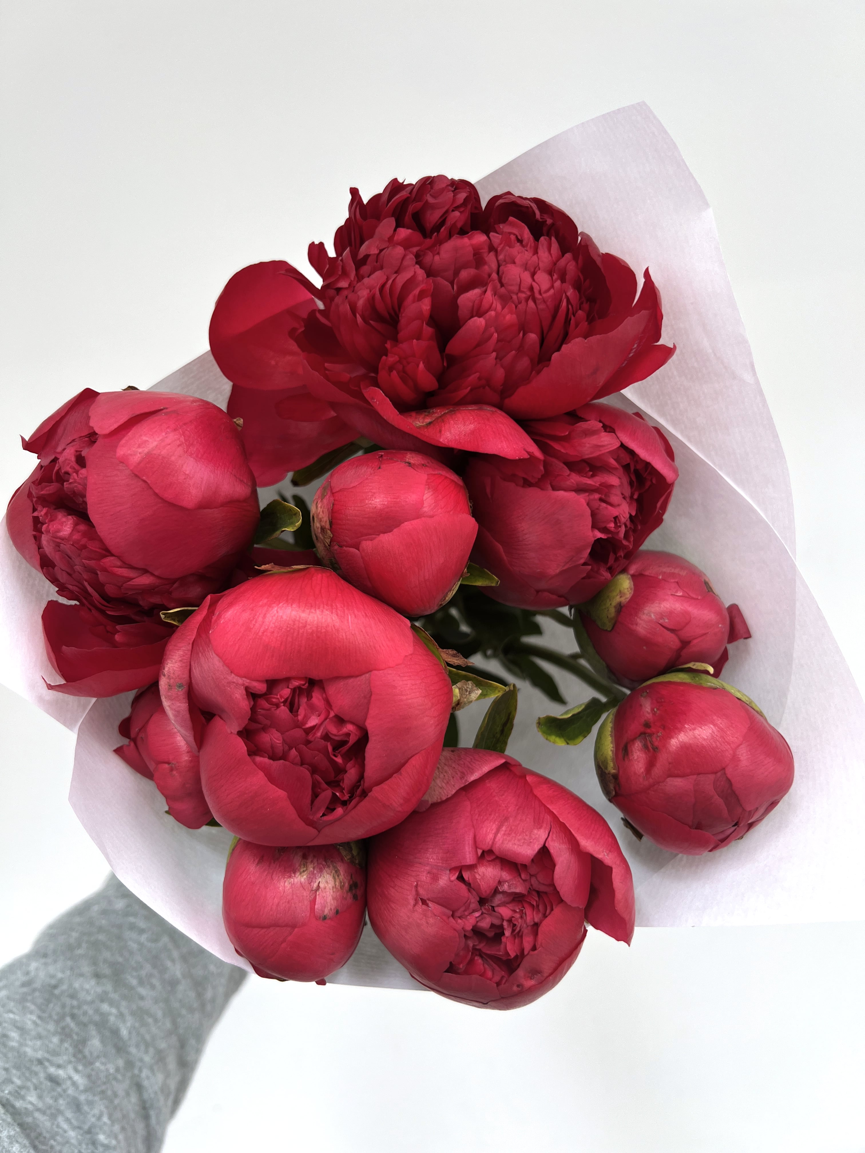 Red Peonies Delivery by FLOWERFIX