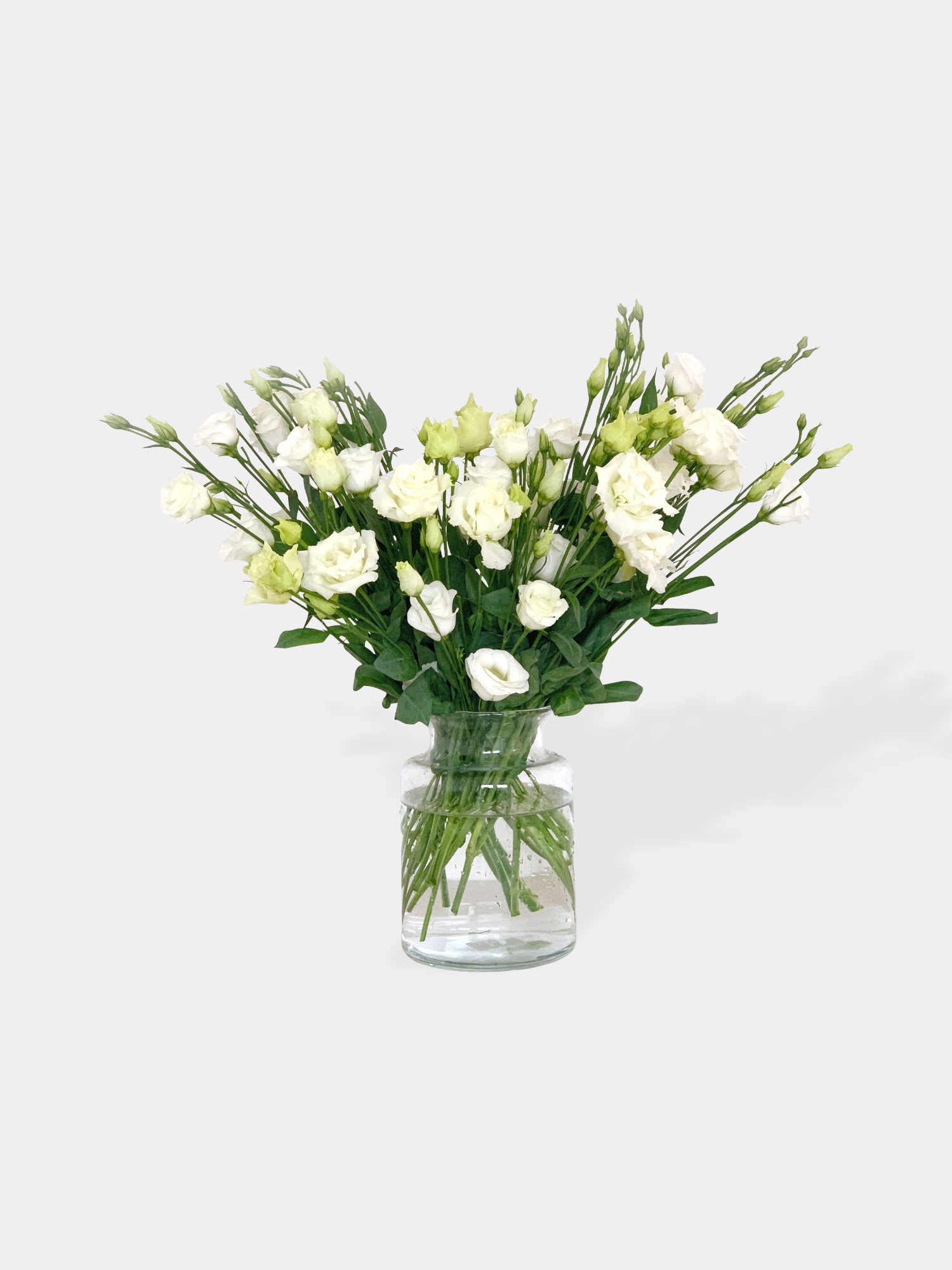 Eustoma (Lisianthus) - FLOWERFIX