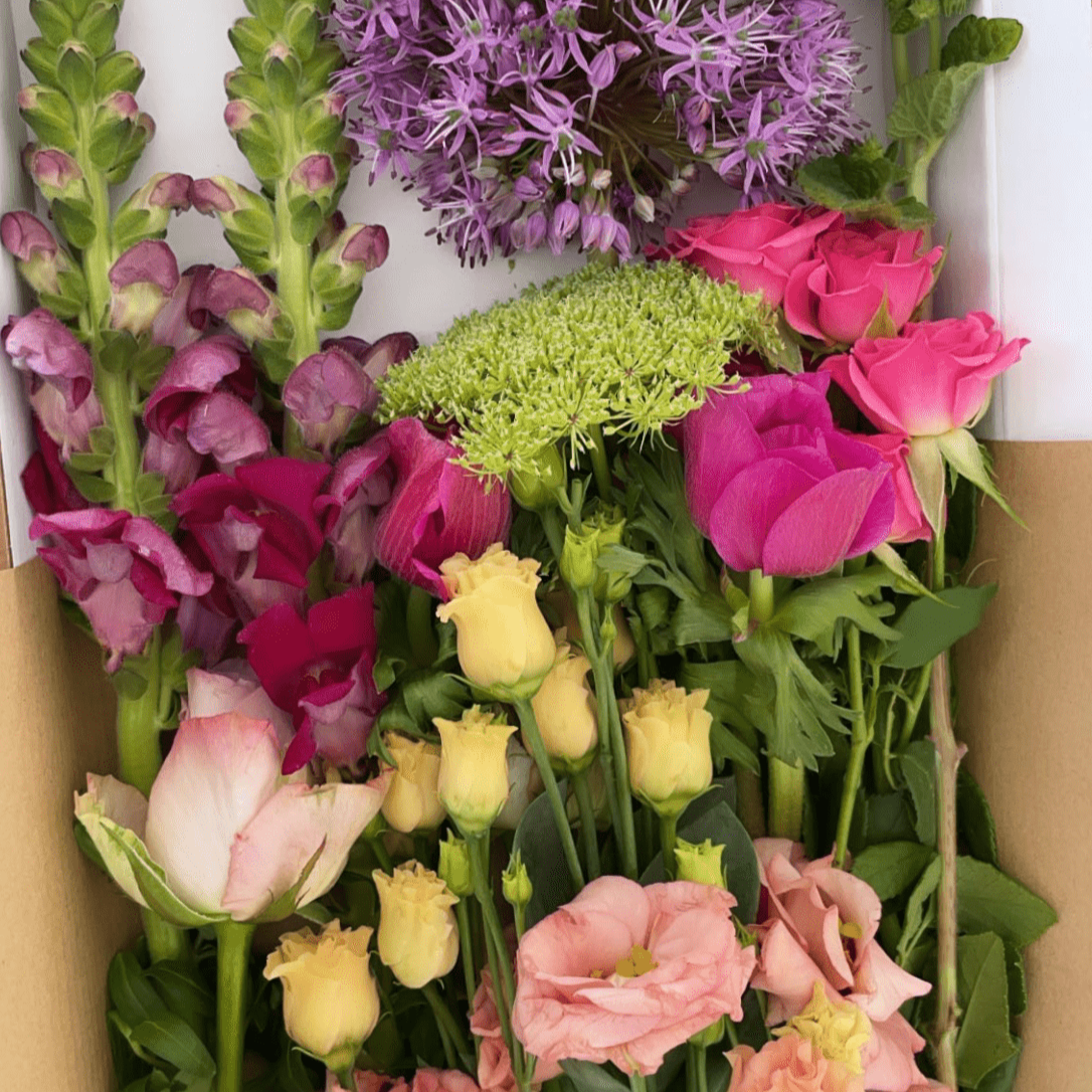 Our Florist's Pick - Pet Friendly - Best Letterbox Flowers - Flowers Delivered - FLOWERFIX