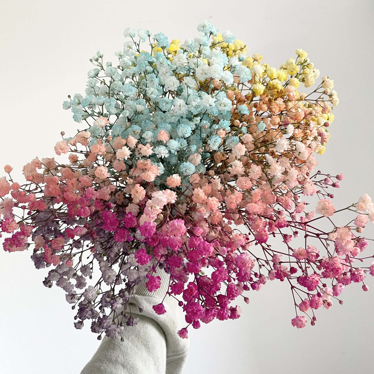 Baby's Breath - FLOWERFIX