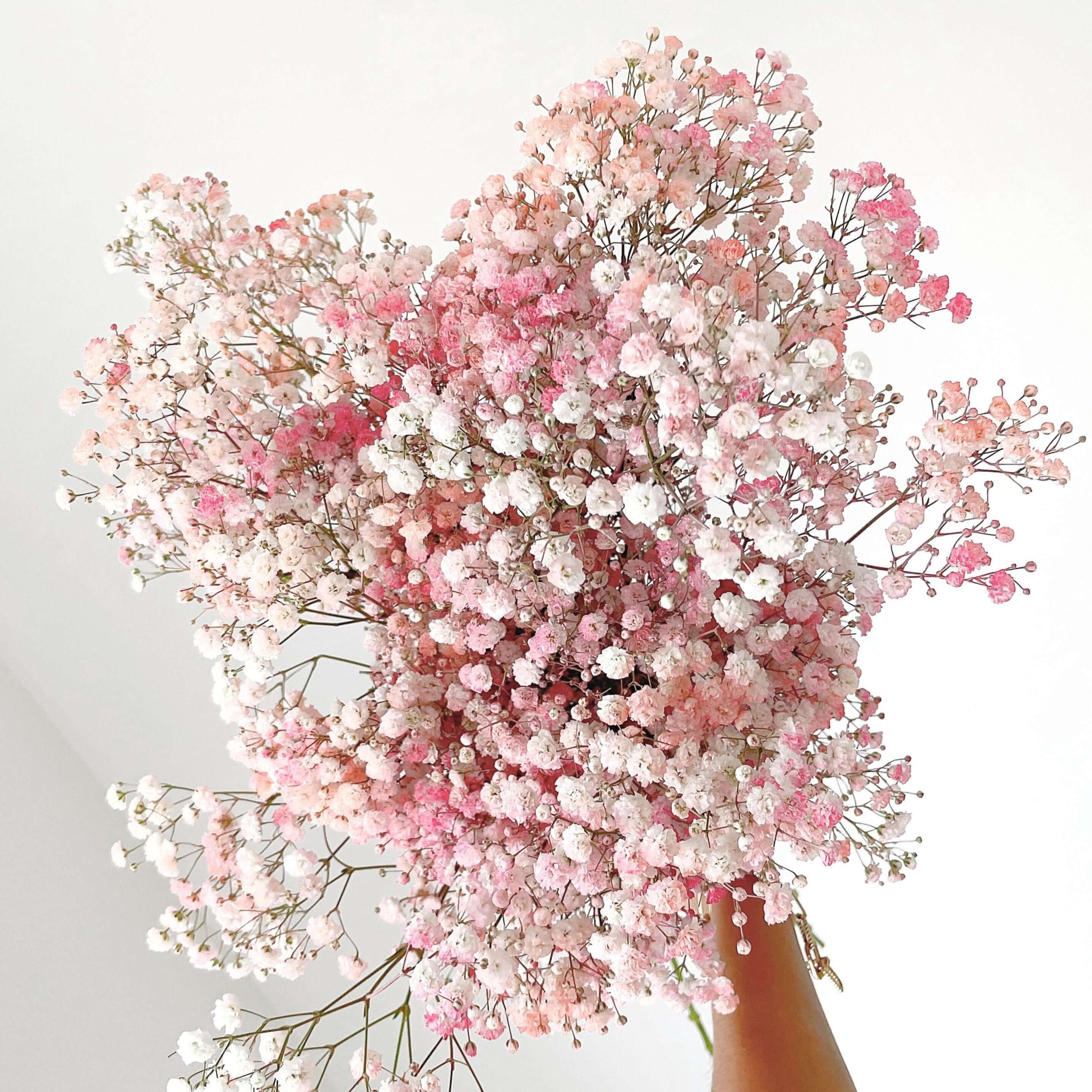 Fresh baby's breath gypsophila bouquet UK delivery