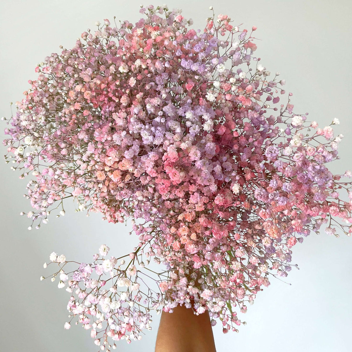 Baby's Breath - Best Letterbox Flowers - Flowers Delivered - FLOWERFIX