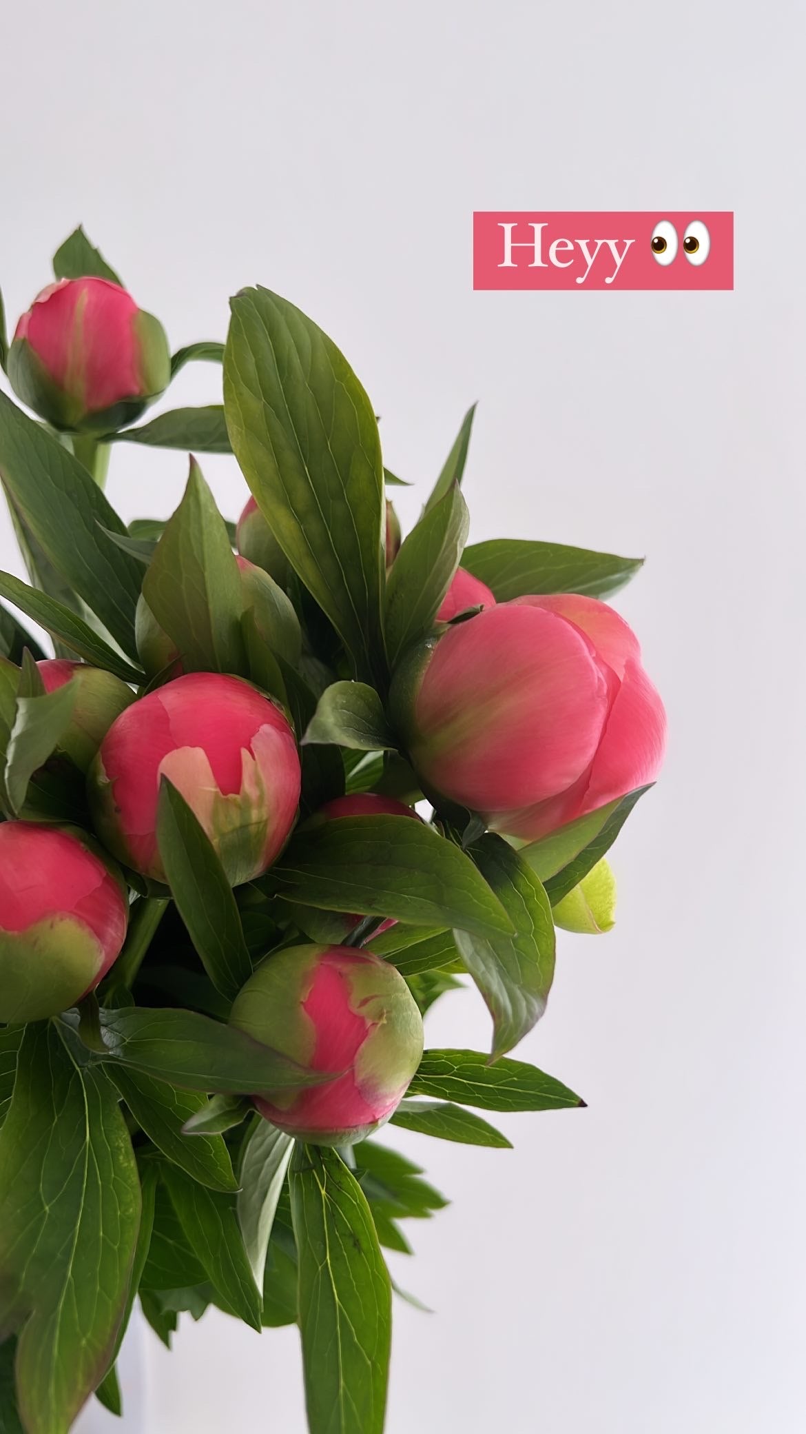 The Peony Bunch - FLOWERFIX