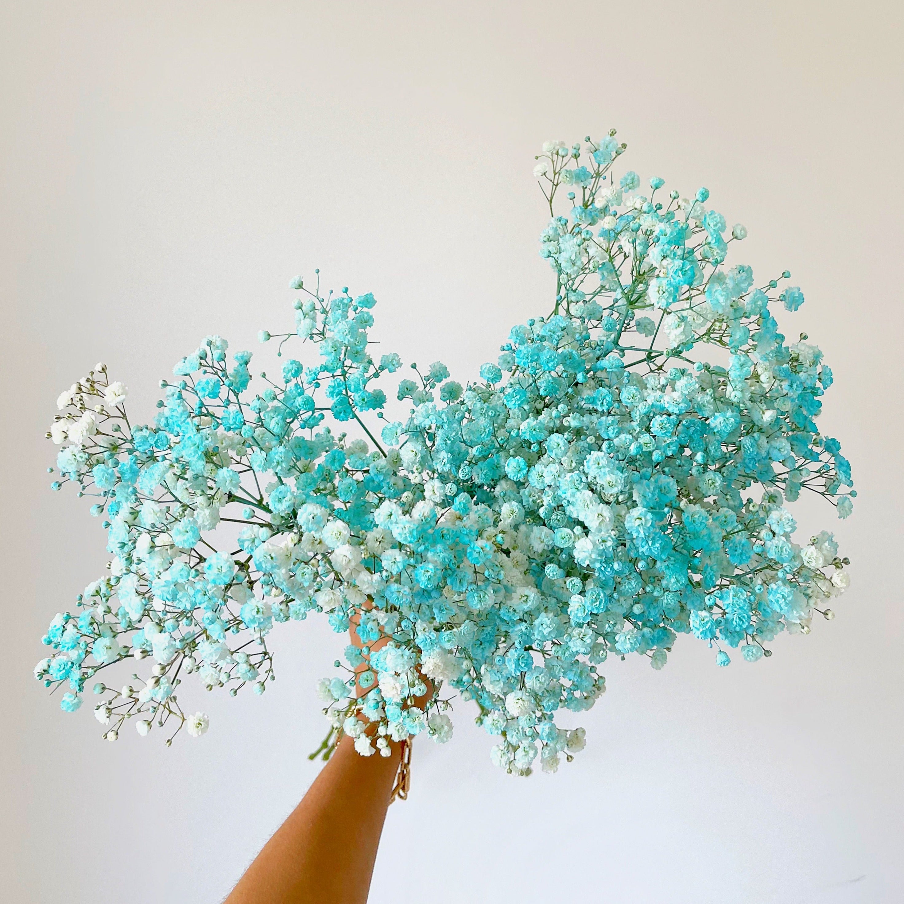 Baby's Breath - Best Letterbox Flowers - Flowers Delivered - FLOWERFIX