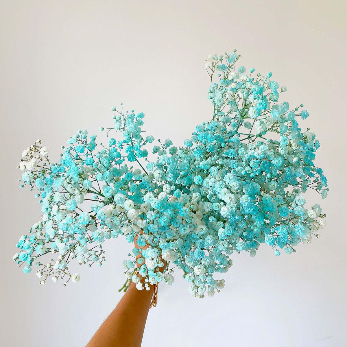 Fresh blue baby's breath gypsophila bouquet UK