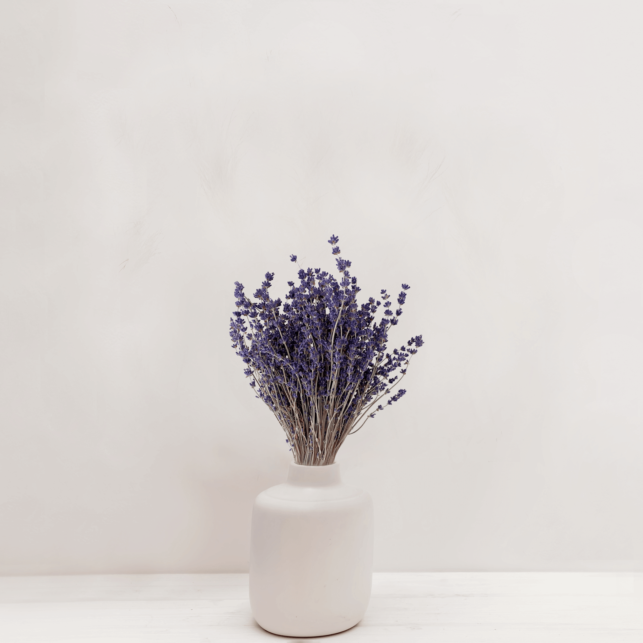 Dried Lavender Flower Bunch - Best Letterbox Flowers - Flowers Delivered - FLOWERFIX