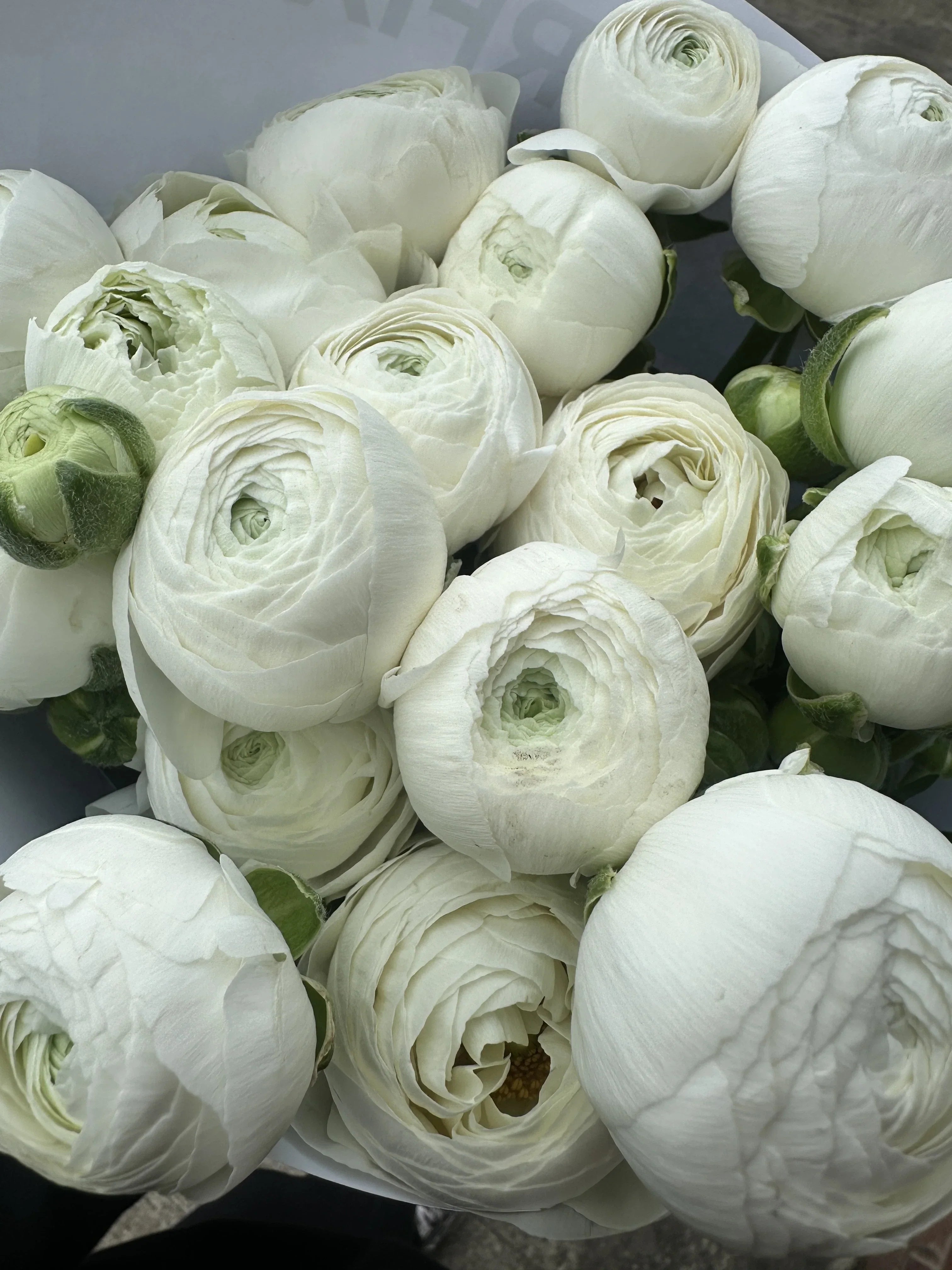 How Do I Keep Flowers Alive in Hot Weather in the UK?
