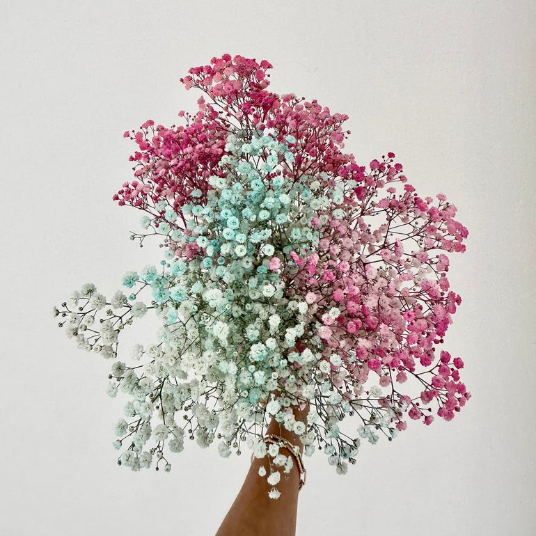 Baby's Breath - FLOWERFIX