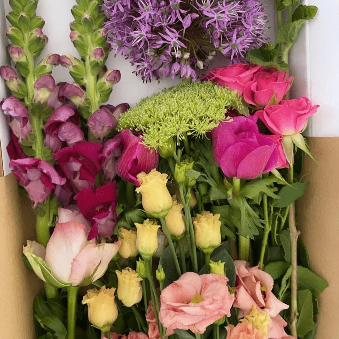 Assorted flowers including pink, purple, and green in a letter box friendly bouquet.