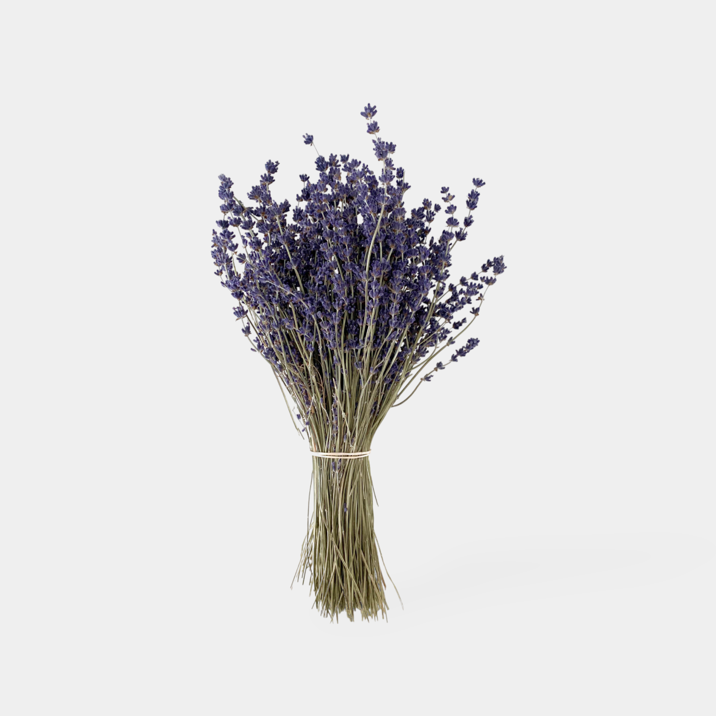 Dried Lavender Bunch - Best Letterbox Flowers - Flowers Delivered - FLOWERFIX