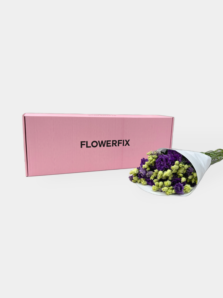 Purple Eustoma (Lisianthus) - FLOWERFIX
