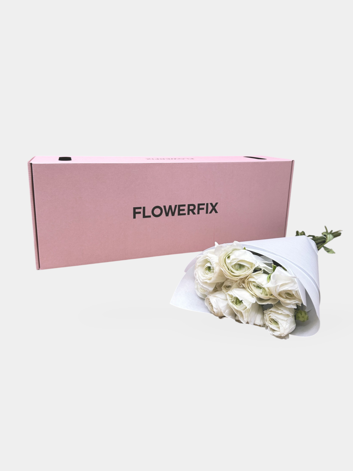 White Italian Ranunculus