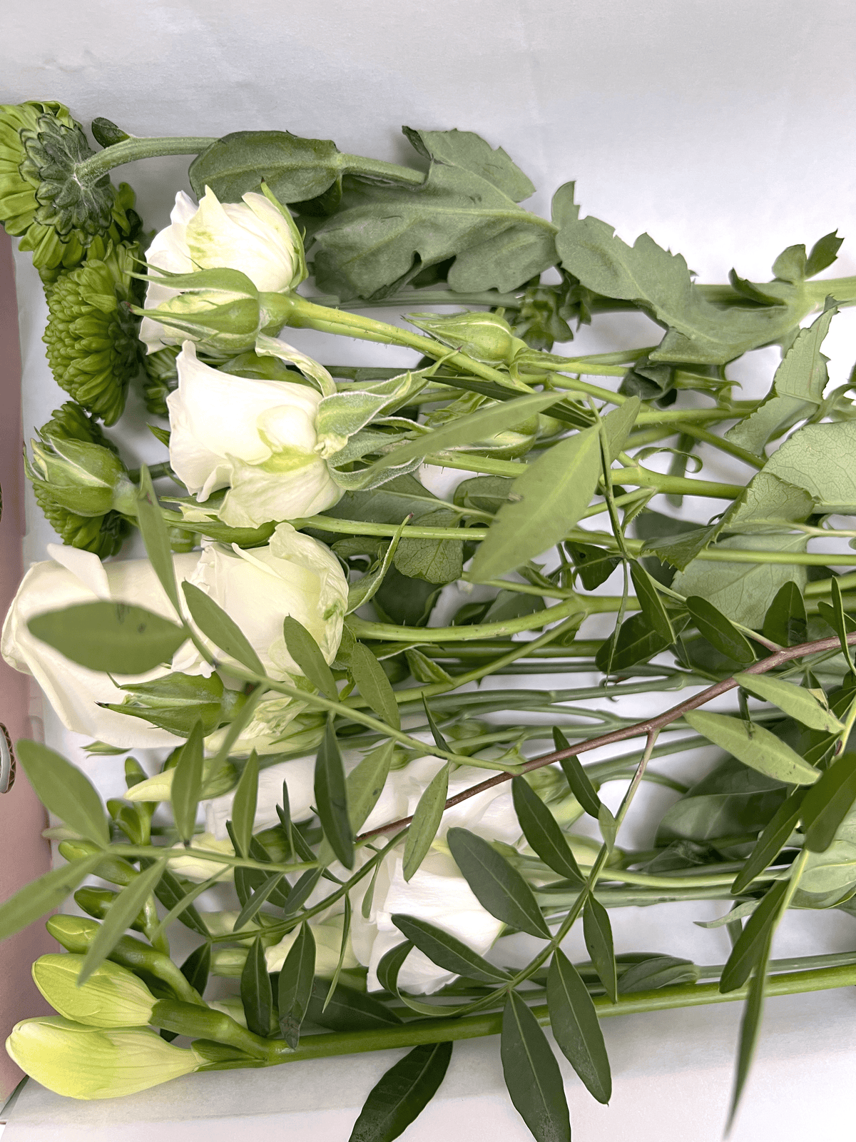 White and Green Flowers