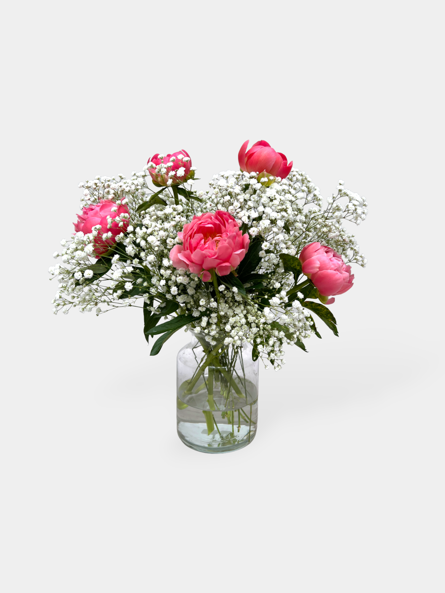A Coral Peony Cloud - Coral Pink Peonies and Baby's Breath - FLOWERFIX