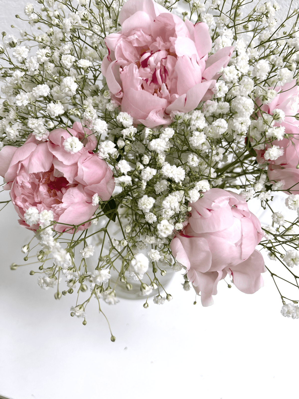 Peony and Gypsophila Flowers - FLOWERFIX