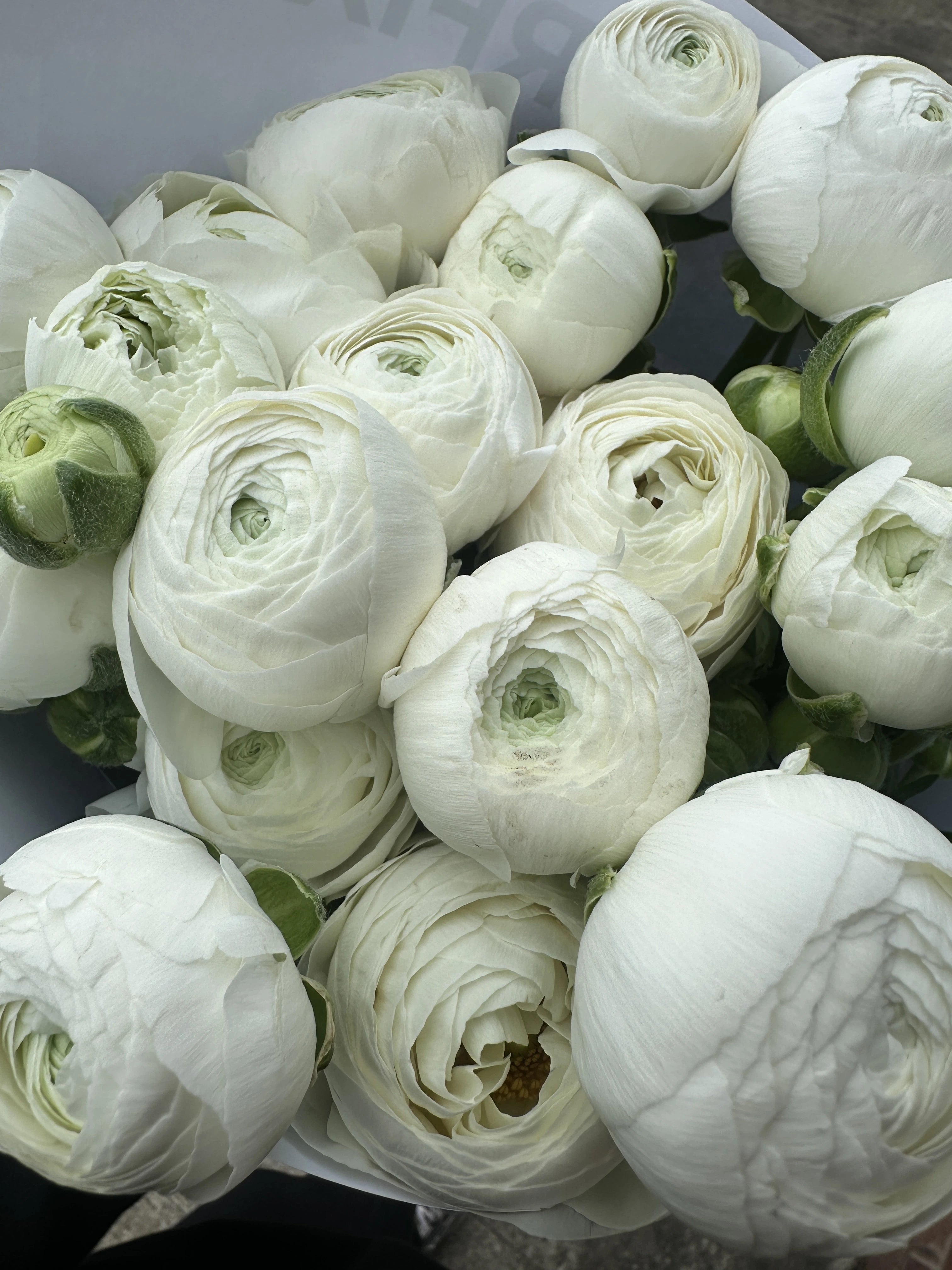 Flower Diary