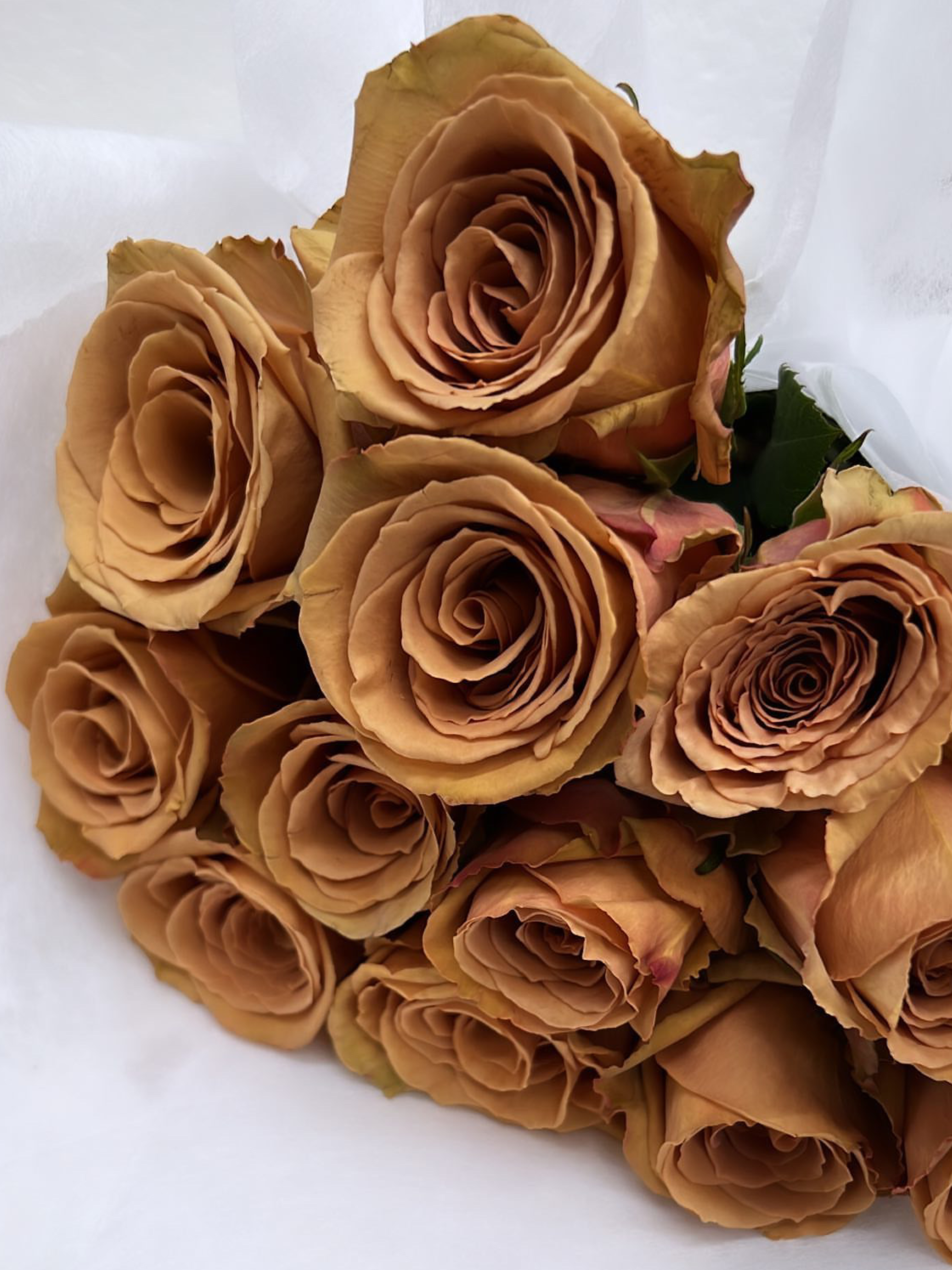 Only Roses Subscription - FLOWERFIX