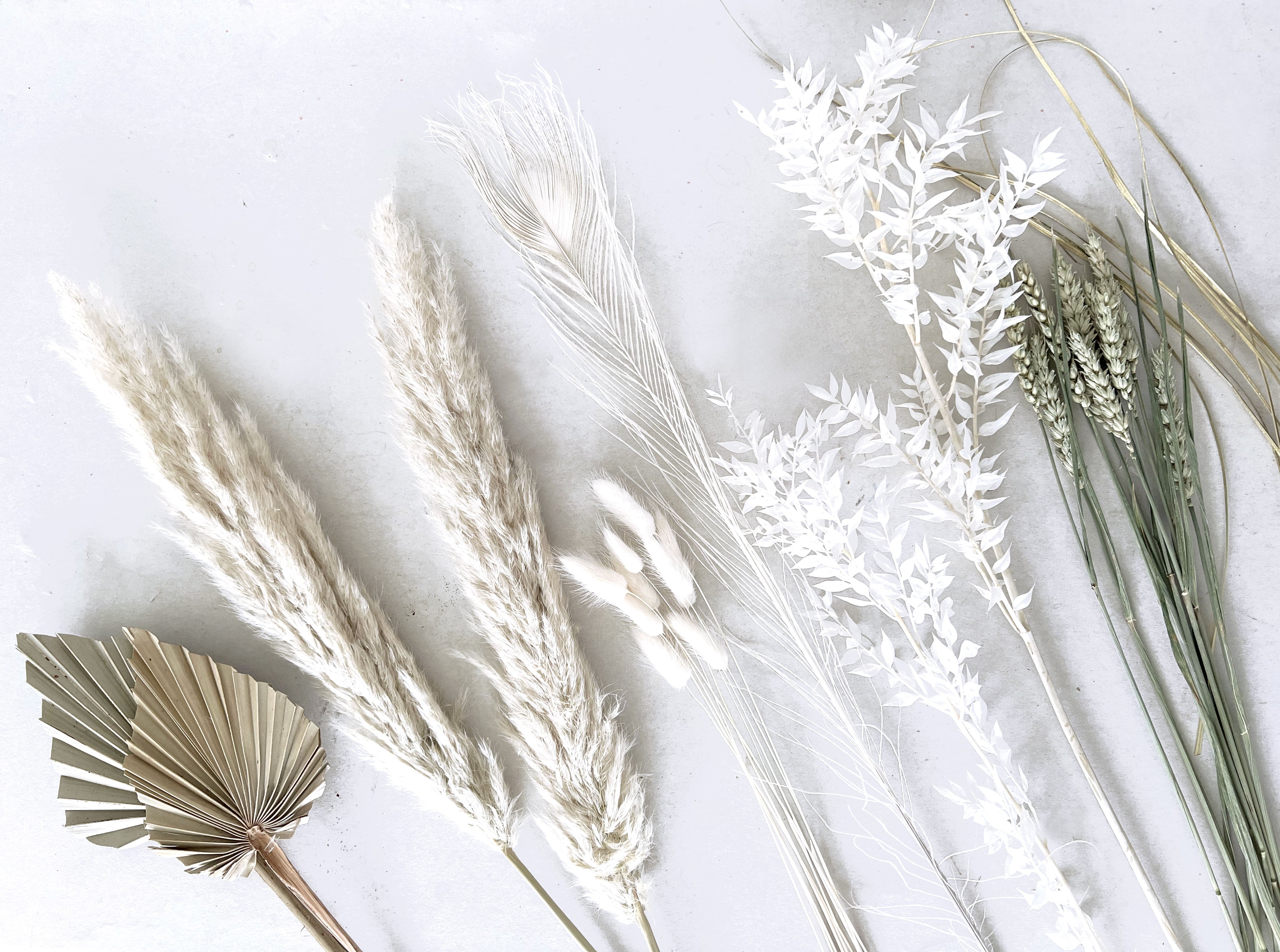 Pampas By Post - Best Dried Letter box Flowers - Dried Flowers Delivered - Flowerfix Flower Delivery