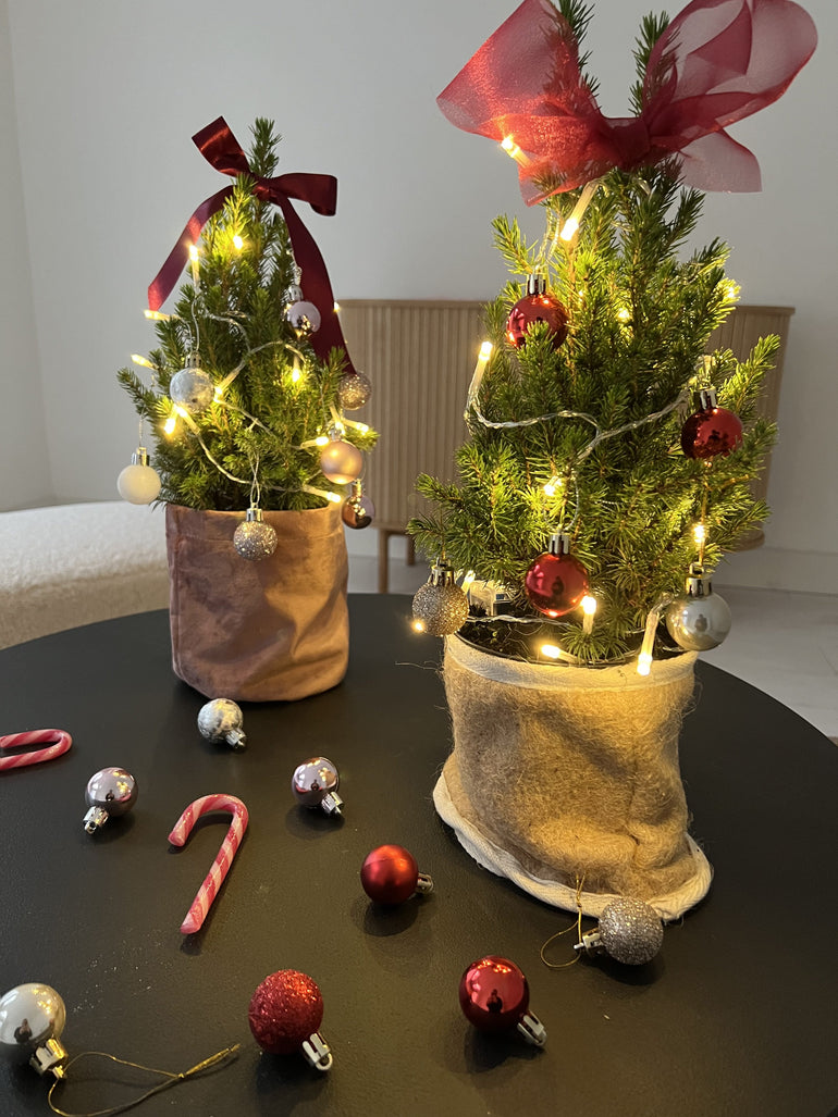 The Mini Letterbox Christmas Tree - FLOWERFIX