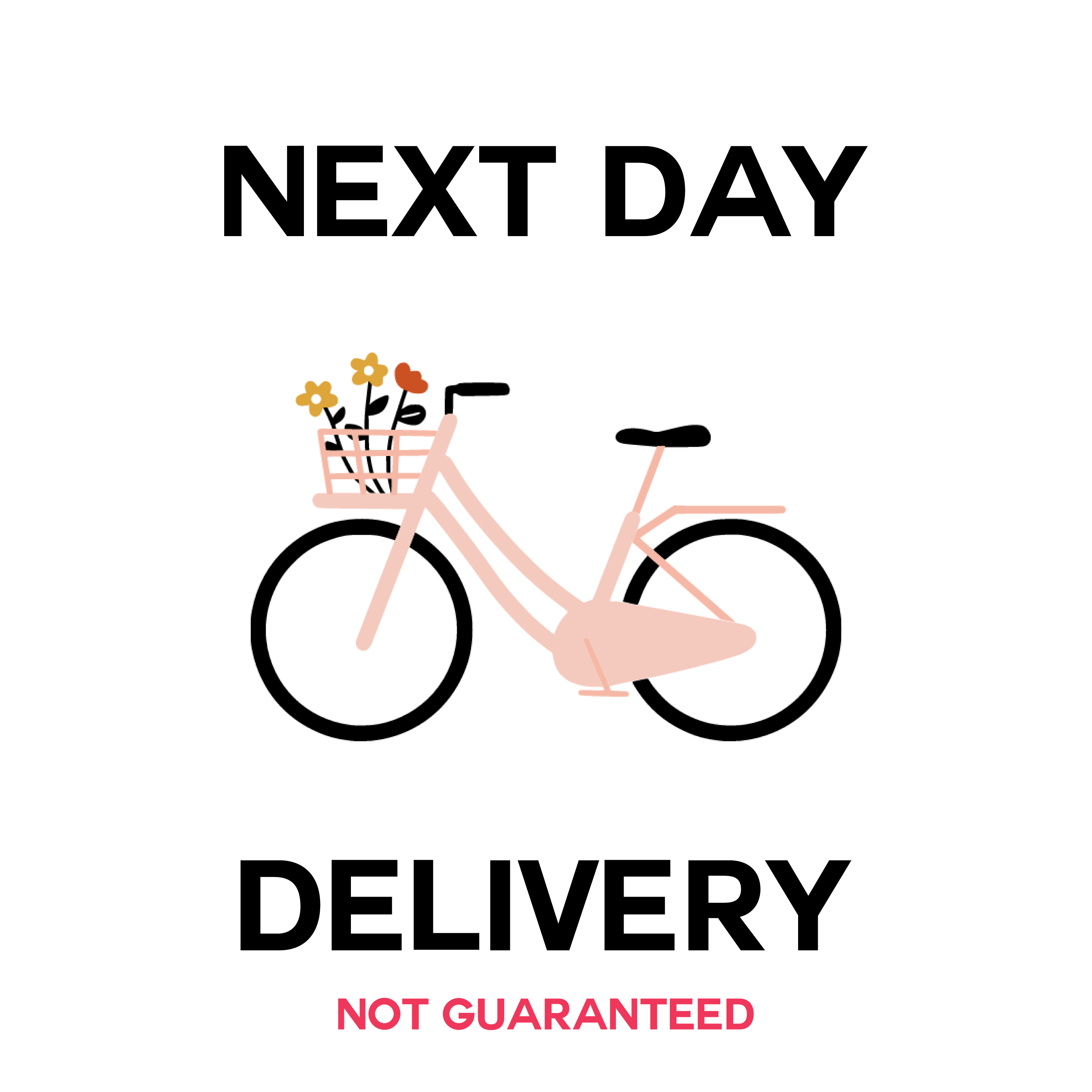 Next Day Delivery Surcharge (Not Guaranteed) - FLOWERFIX