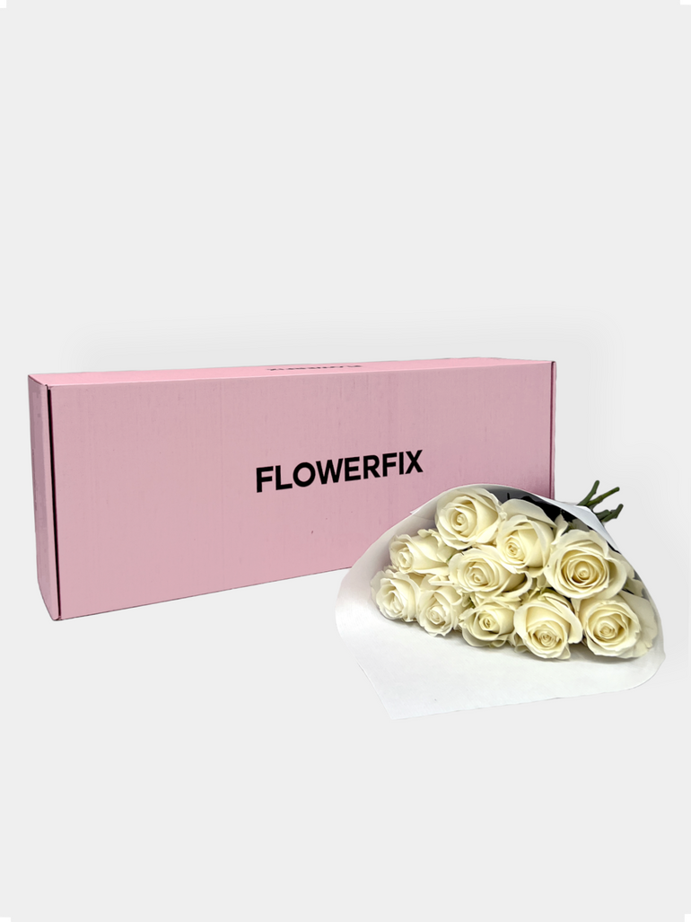 White Avalanche Roses - FLOWERFIX