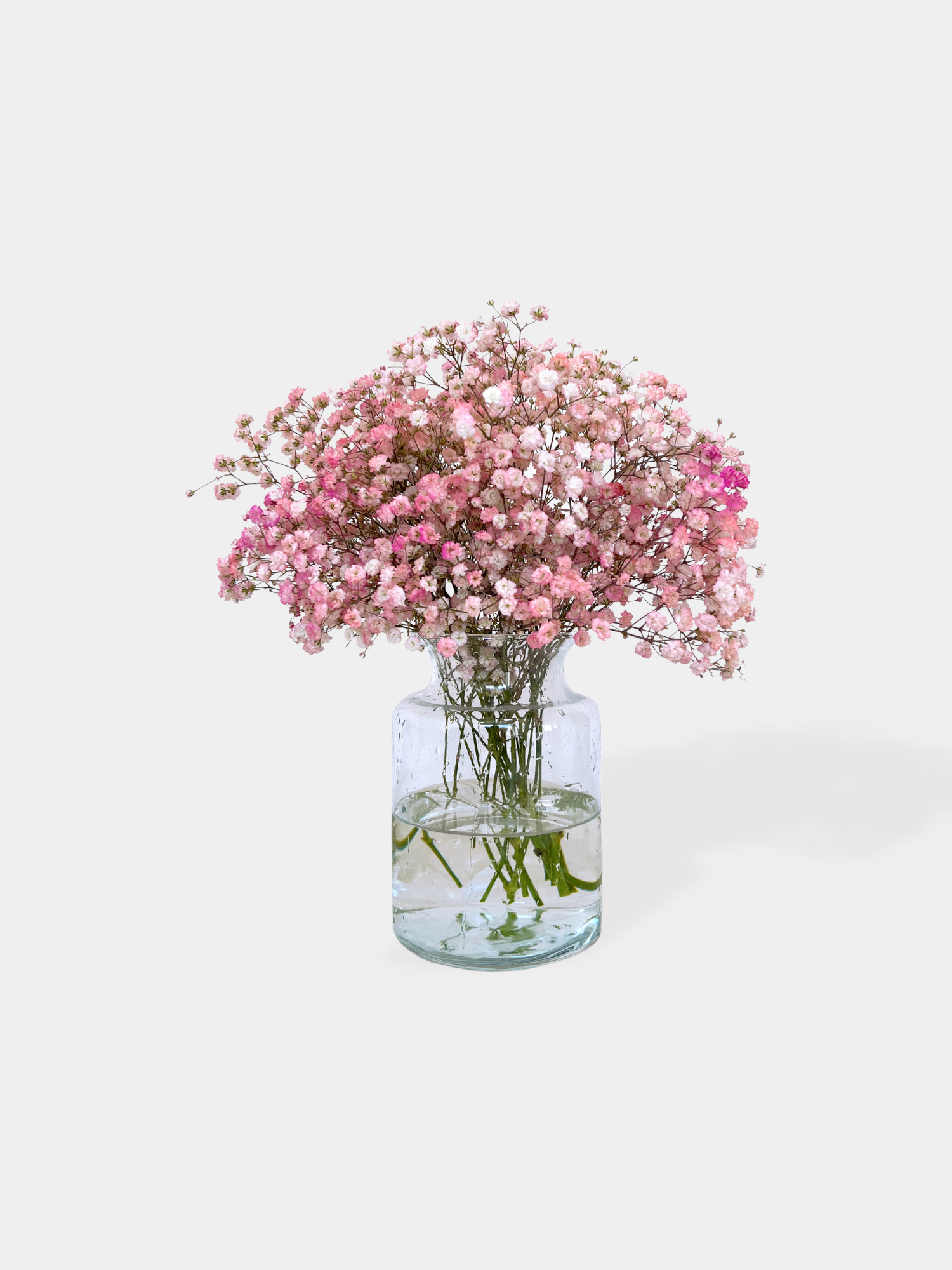 Baby's Breath - FLOWERFIX