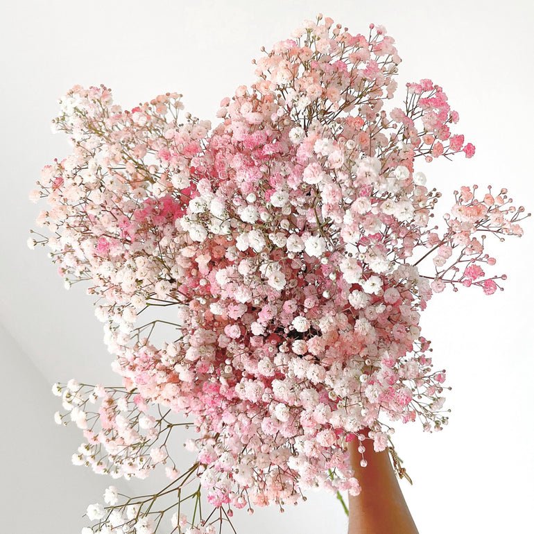 Send Baby's Breath Flowers With a Card