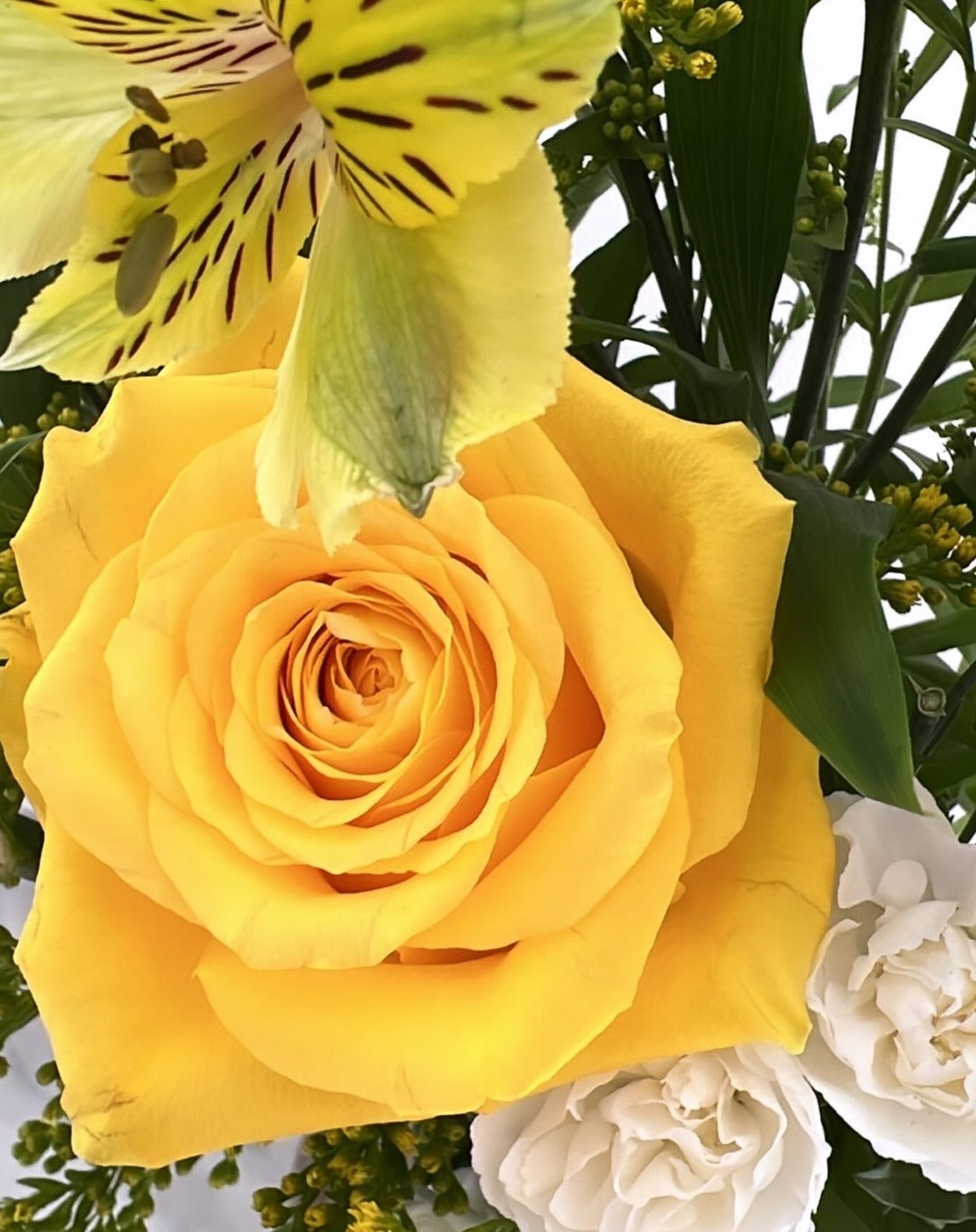 Yellow Roses Delivered | Letter Box Flowers | Flowerfix Flower Delivery