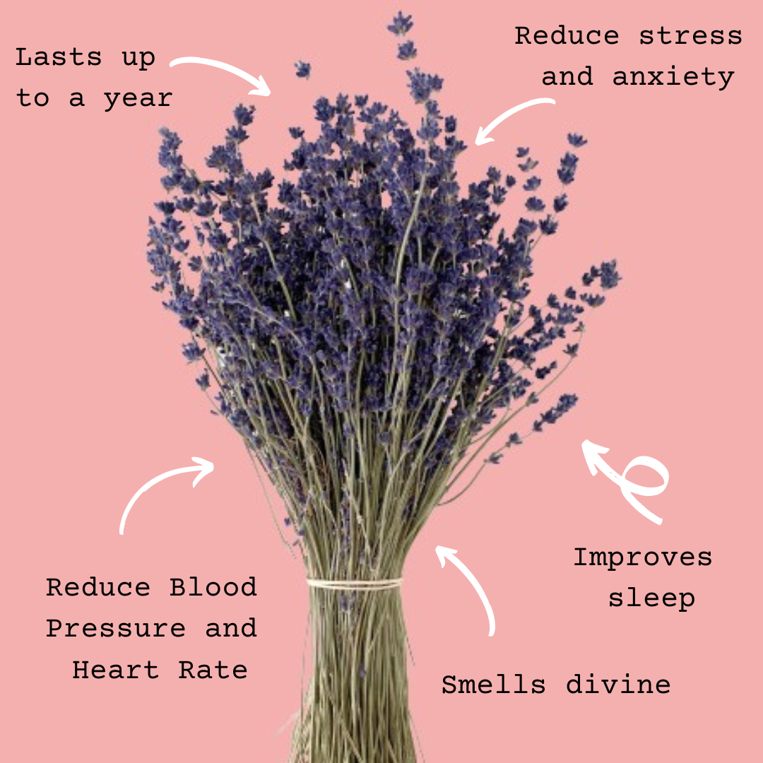 Dried Lavender Bunch - Best Letterbox Flowers - Flowers Delivered - FLOWERFIX